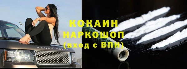 сатива Кулебаки