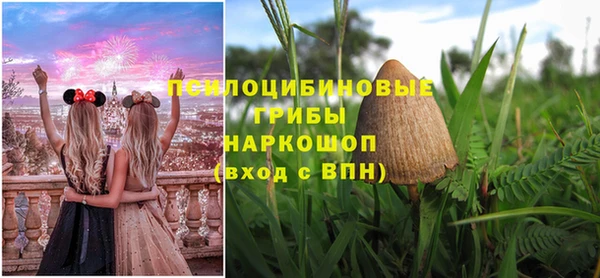 стафф Нефтекумск