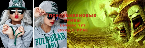 сатива Кулебаки