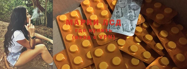 ECSTASY Кукмор