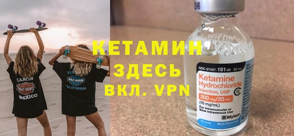 сатива Кулебаки