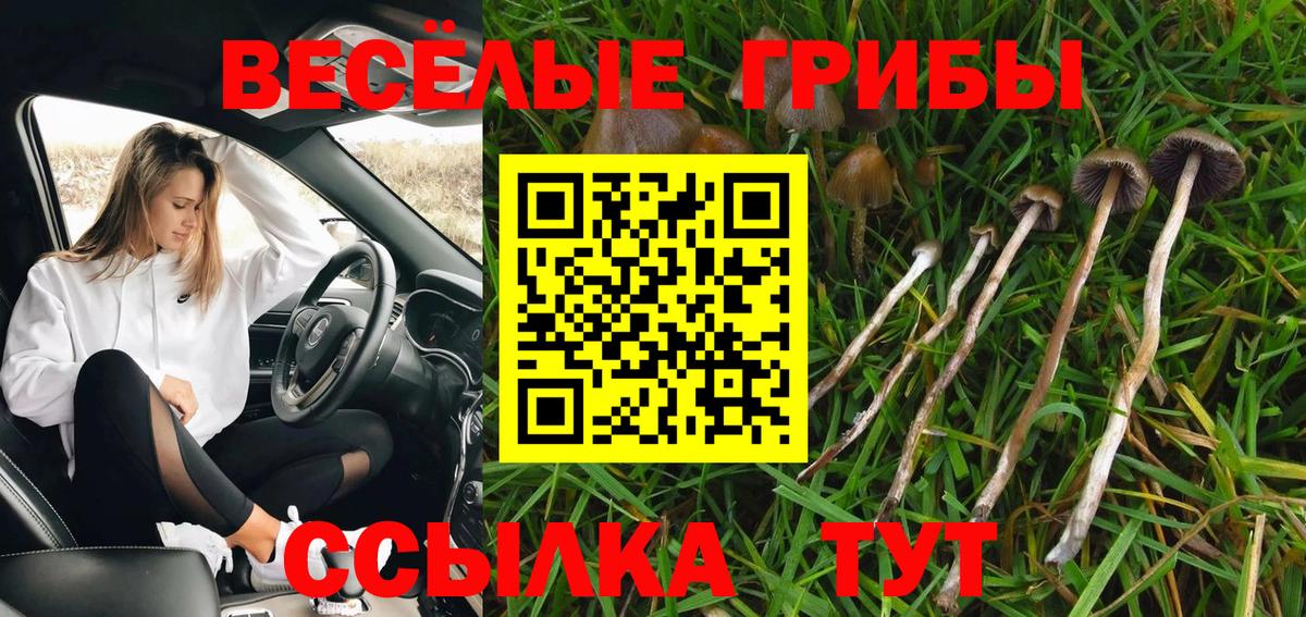 Псилоцибиновые грибы мухоморы Топки