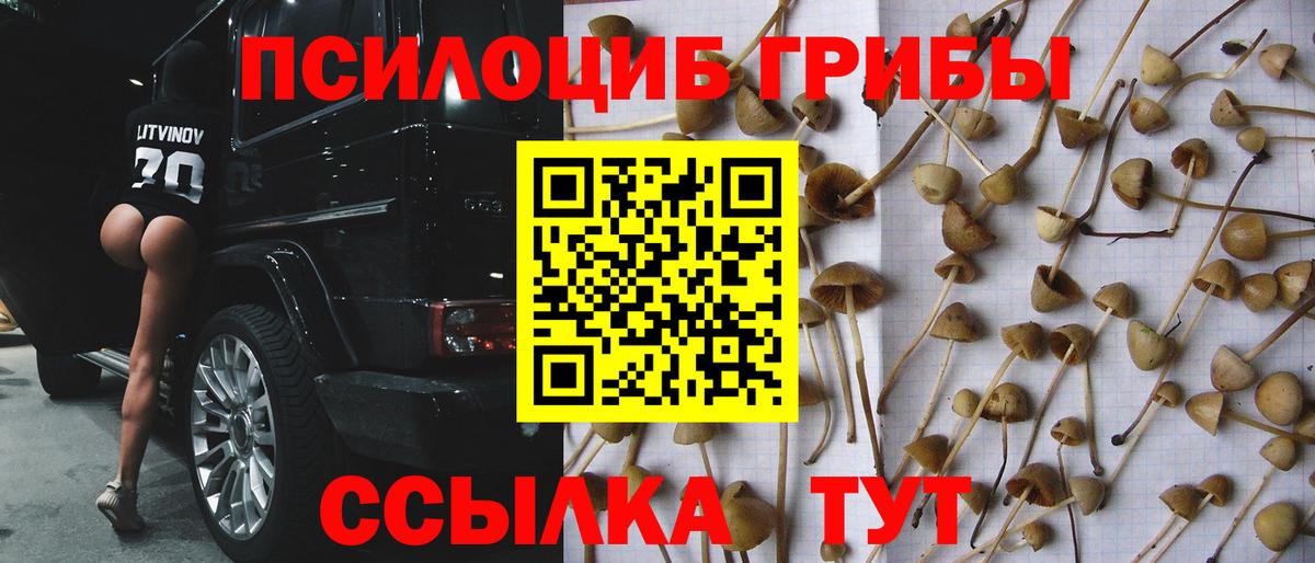 Псилоцибиновые грибы Psilocybine cubensis Топки